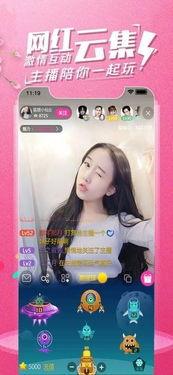 无码主播视频磁力,带你领略网络直播的隐秘世界