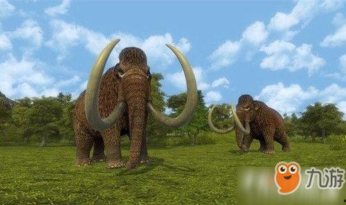 动物杀动物视频,动物间的捕食瞬间