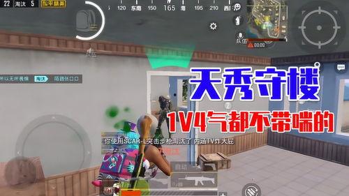 和平经营爆料视频在哪看,观看途径全解析