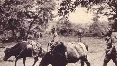 日本 吸兵,揭秘“吸兵”背后的战略意图