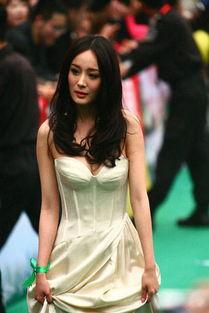 下载所有明星的照片,全网明星照片大汇总