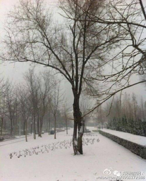 下雪了思念老公,思念老公的温馨絮语