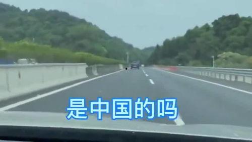 中国开车搞笑视频,笑出腹肌！中国开车搞笑视频大盘点