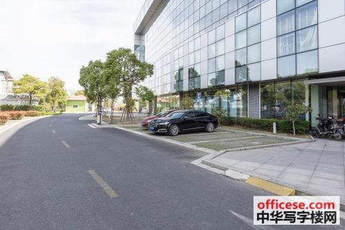 大场  无码有几部