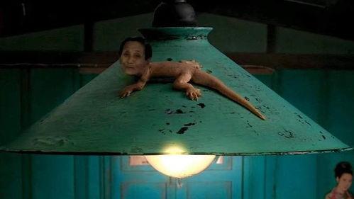 壁虎电影在线观看免费,揭秘高清观影新体验