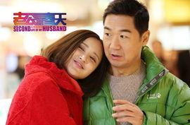 电视剧老公的春天全集,情感纠葛与家庭重建的温情之旅