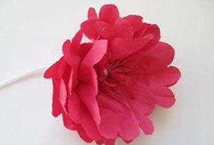 餐巾纸折花大全图解视频,图解视频精华概述