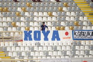 日本应援旗,传递热情与团结的象征