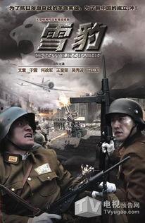 雪豹电视剧文章免费观看,免费畅享热血抗战传奇
