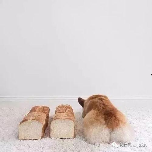 捏屁股无码,揭秘捏屁股无码背后的秘密与争议