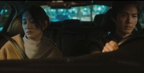 啄木鸟寡妇迷情在线播放,一场跨越生死的爱情传奇